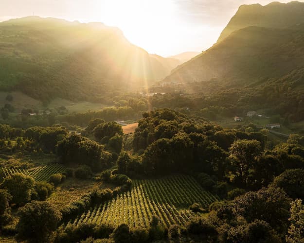 Image - Pozalagua a oscuras y Txakoli DeBringas (7 de diciembre)