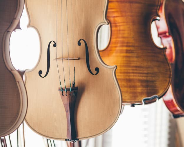 Image - In violin making in Venice between history and tradition