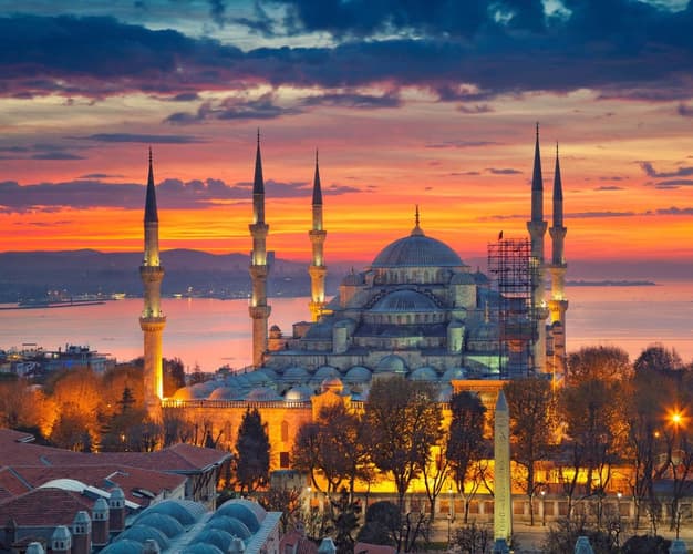 Image - TURKEY PEARLS