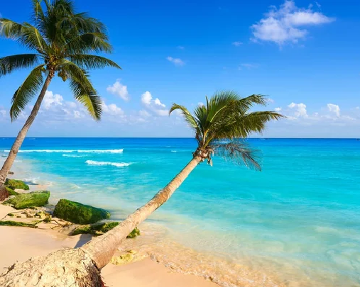 Image - Riviera Maya a tu medida + Carry on "28dic al 02ene"