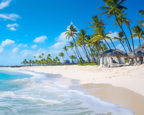 Imagen - Punta Cana + Carry on "05 al 09dic"