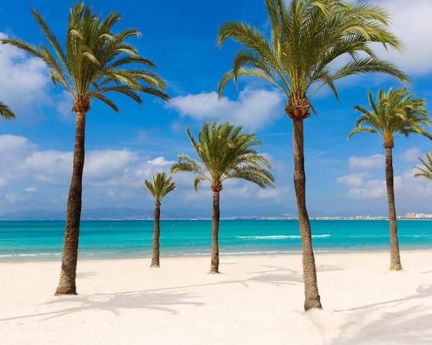 Immagine - Ljeto na MALLORCI 7 nočenja iz Beča