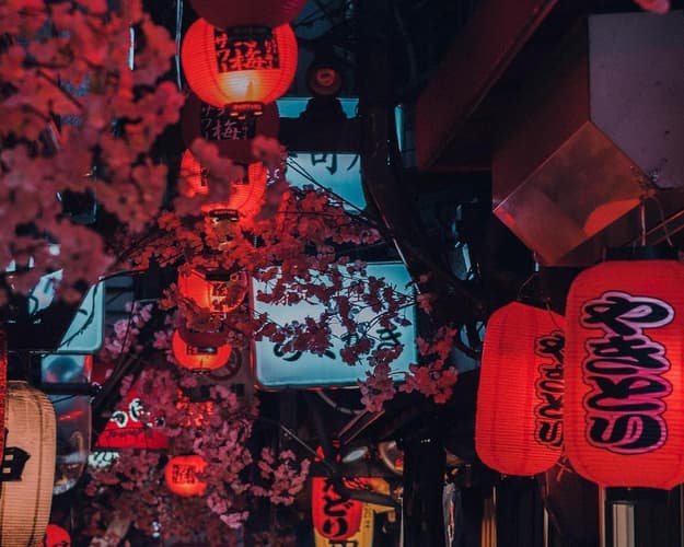 Immagine - Tokyo. Fascino antico & energia del futuro