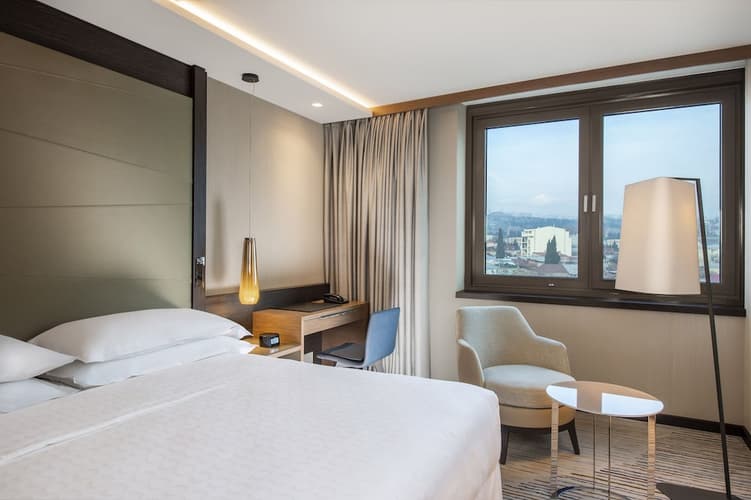 Image - 4 Days TBILISI (Sheraton Grand Tbilisi Metechi 5* - BB)