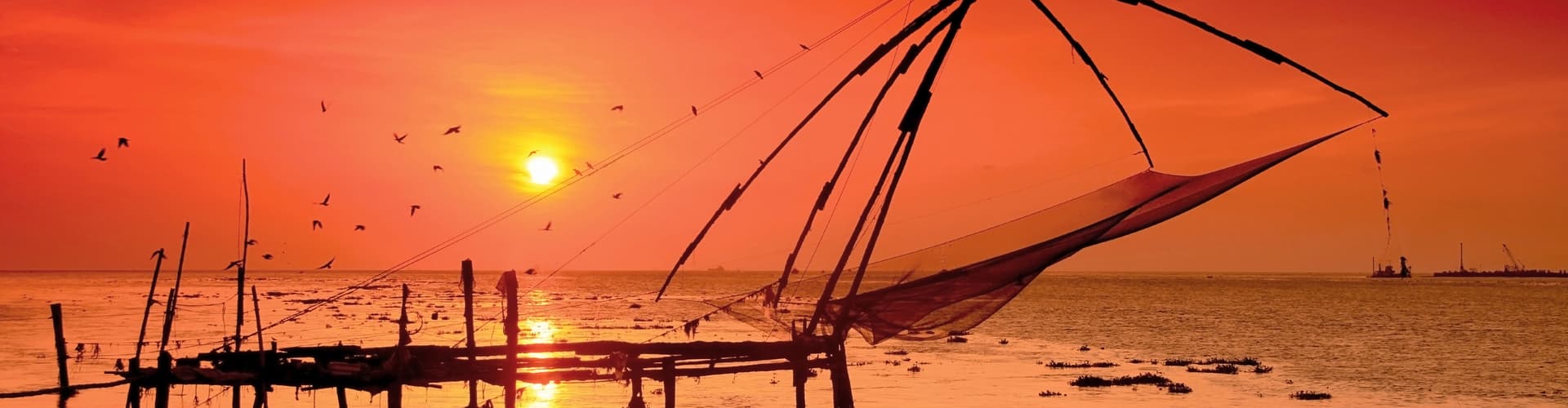 Imagem - India Experience