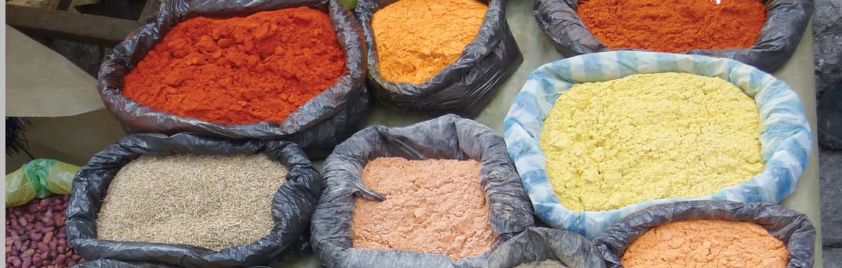 صورة - Ecuador: Amazon Jungle Short Break