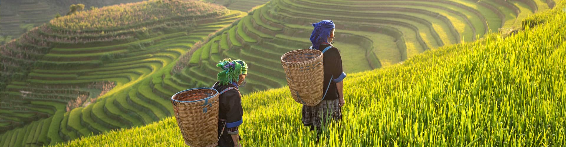 Image - Thailand Hilltribe Trek