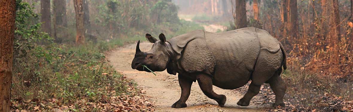 Image - Chitwan National Park Extension