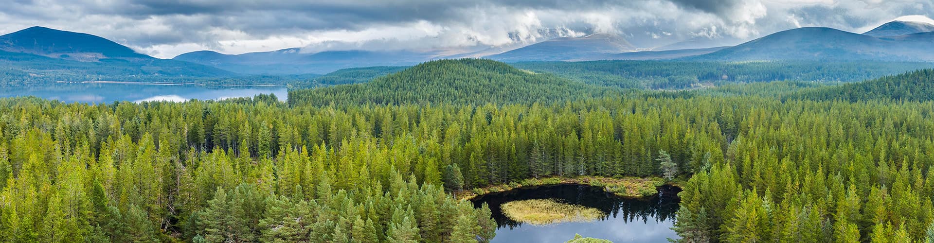 Billede - Premium Scotland