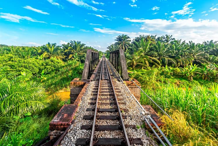 Image - Malaysia's Jungle Railway Adventure