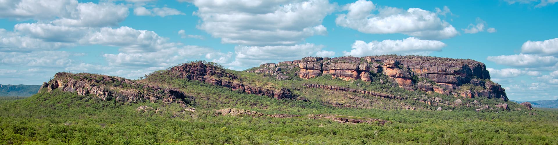 Bilde - Best of the Top End & Kakadu
