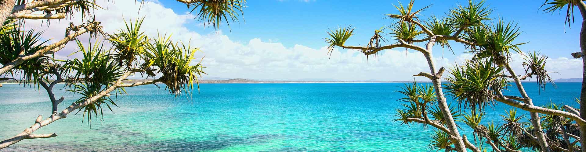 Bild - Sydney to Cairns Adventure