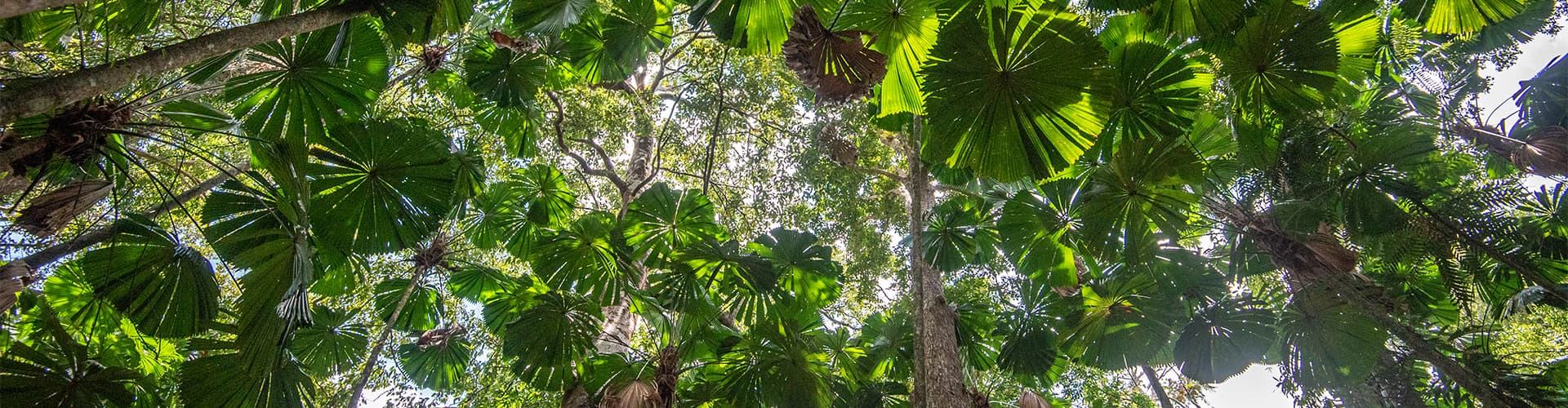 Image - East Coast Australia Adventure