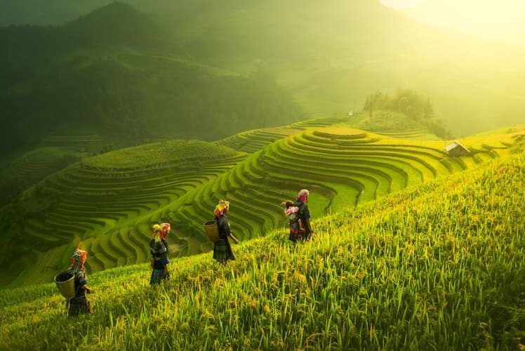 Bilde - Premium Walking & Hiking in Vietnam