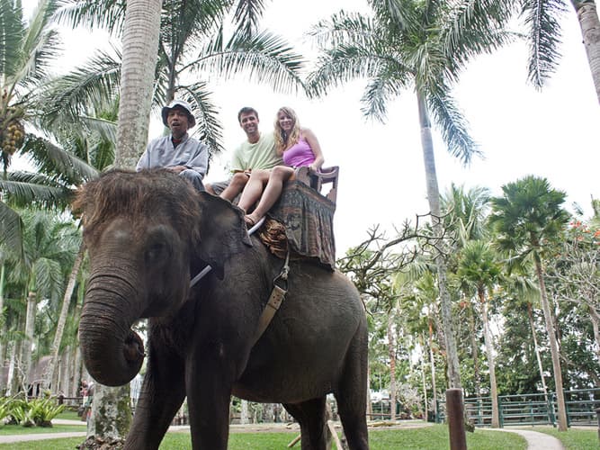 Imagen - Viaje a Bali | Central de Vacaciones 