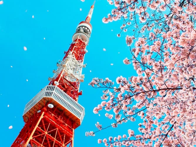 Imagen - Experiencia en Japón (Fly&Drive)