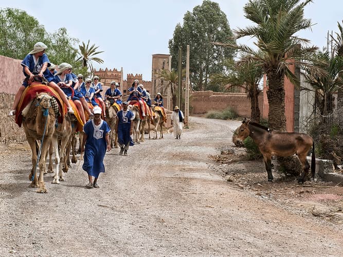 Imagen - Descubre Marruecos: Marrakech, Agadir y Casablanca