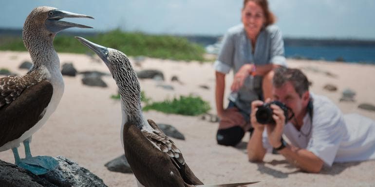 Bild - The Galápagos: Wildlife of Santa Cruz & Isabela Islands