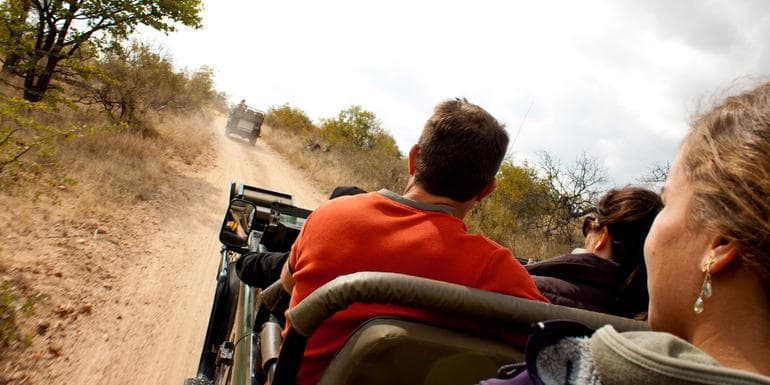 Bild - Ultimate African Safari: Kruger, Hwange, Chobe, & the Okavango Delta