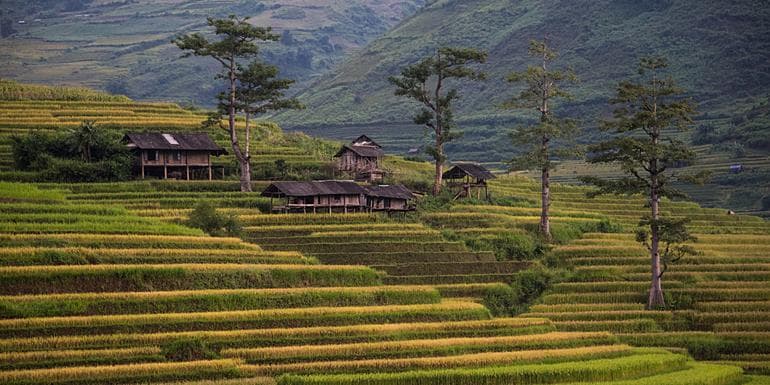 Bilde - Classic Vietnam: Sapa to Ho Chi Minh