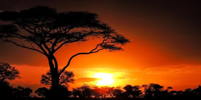 صورة - Nairobi to Zanzibar: Serengeti & Sunsets