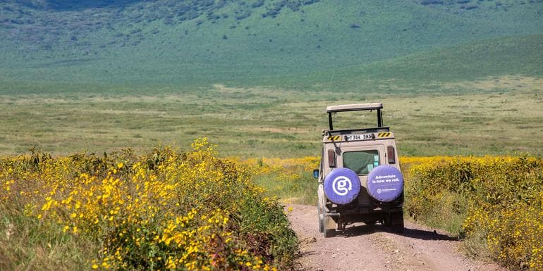 Image - Serengeti to Zanzibar Overland Safari & Participation Camping