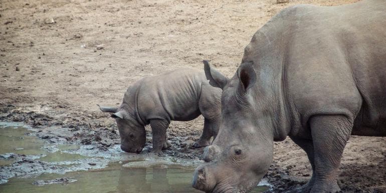 Bild - Southern Africa Overland Safari & Participation Camping