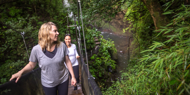 Image - Costa Rica: The Wonders & Wildlife of the North