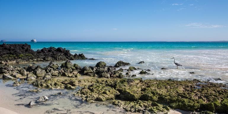 Imagem - Galápagos Island Hopping