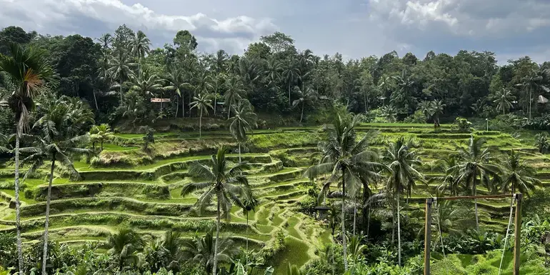 Billede - Bali’s Wild Heart: Soul, Surf & Spirit