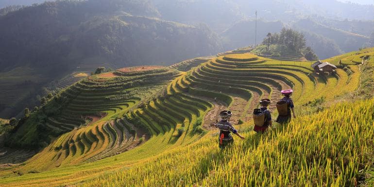 Image - North & Central Vietnam: Hanoi, Hoi An & Countryside Adventures