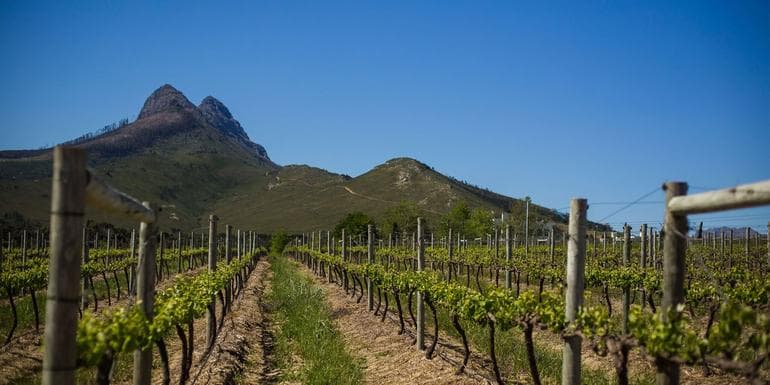 Bild - Ultimate South Africa