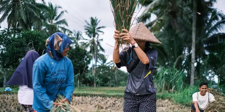 Bilde - Lombok & Gili Adventure: Culture, Peaks & Paradise