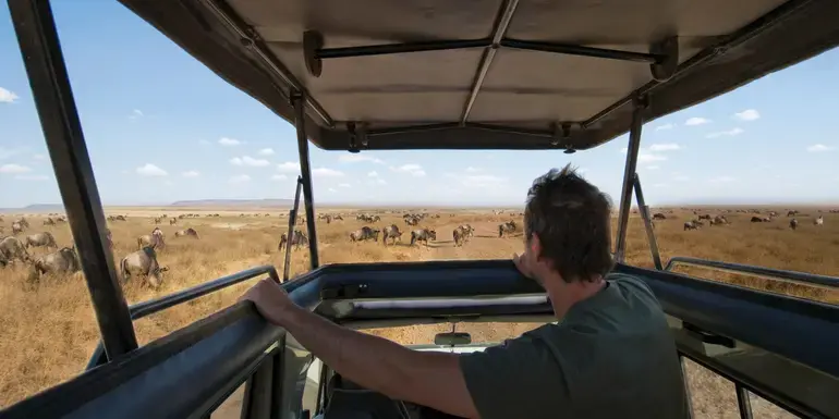 Bilde - Unforgettable Kenya: Masai Mara & Lake Nakuru