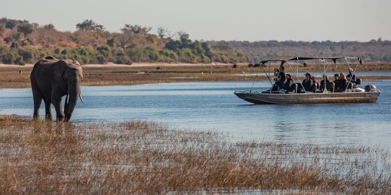 Beeld - Zimbabwe & Botswana: Chobe, Hwange & Lake Kariba