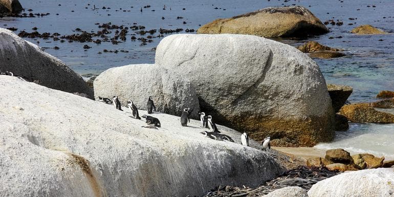 Bild - Solo-ish South Africa