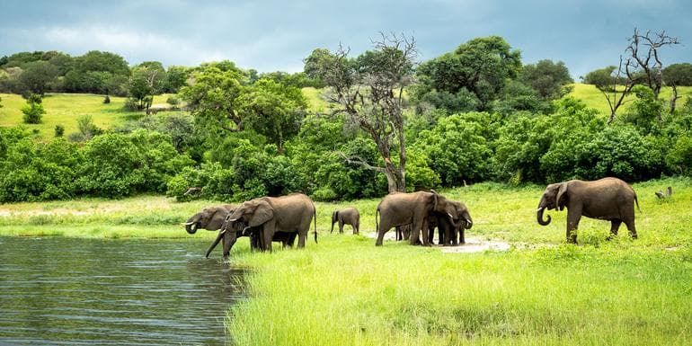 Image - Zimbabwe & Botswana Safari: Victoria Falls & The Big Five