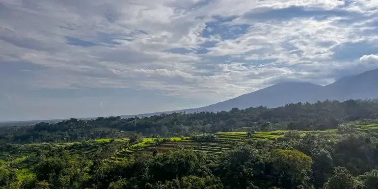 Billede - Bangkok to Bali: Southeast Asia Unfiltered