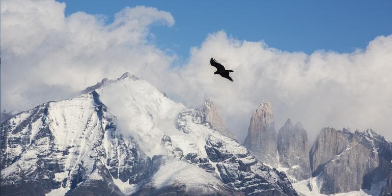 Immagine - End of the Earth