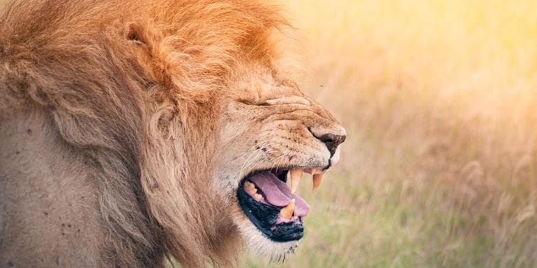 Imagen - Kenya & Tanzania Camping Safari