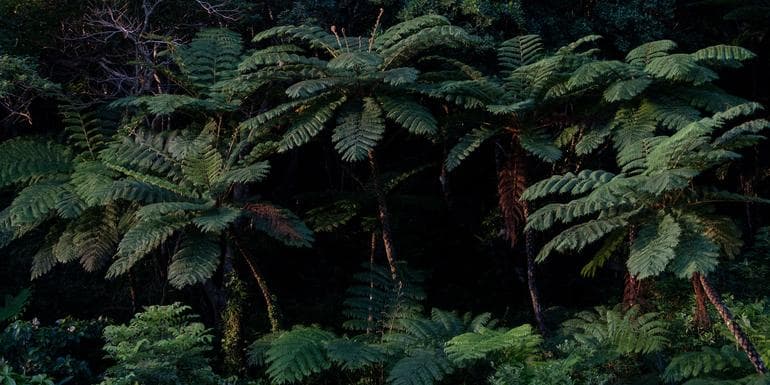 Image - Absolute Active Japan