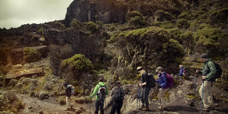 Imagem - Mt Kilimanjaro Trek - Machame Route (8 Days)