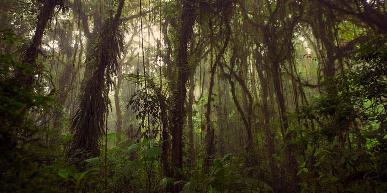 Imagem - Journeys: Highlights of Costa Rica