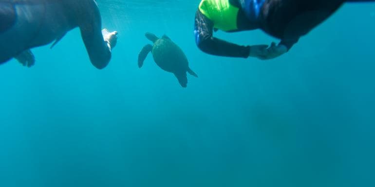 画像 - Galápagos Multisport