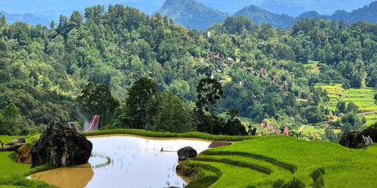 Image - Sulawesi Adventure: The Culture of Tana Toraja