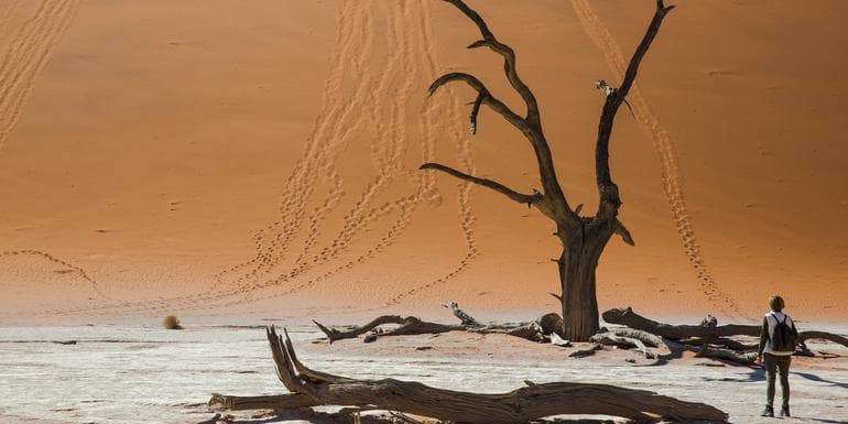 Bild - Dunes, Deltas & Falls Discoverer