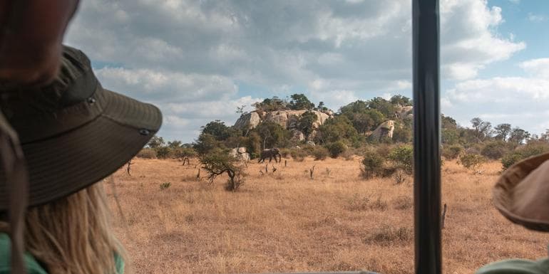 Bild - Southern Africa: National Parks of Zimbabwe & Kruger Wildlife Tracking