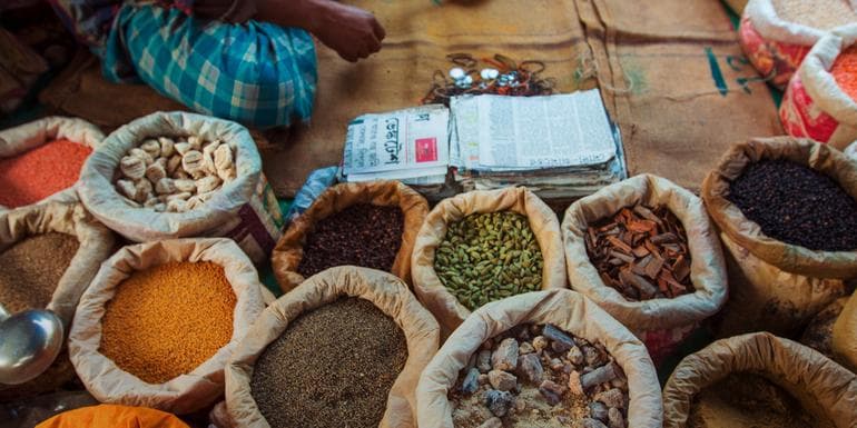 Image - Northern India: Riverside Safaris, Ancient Fortresses & The Taj Mahal