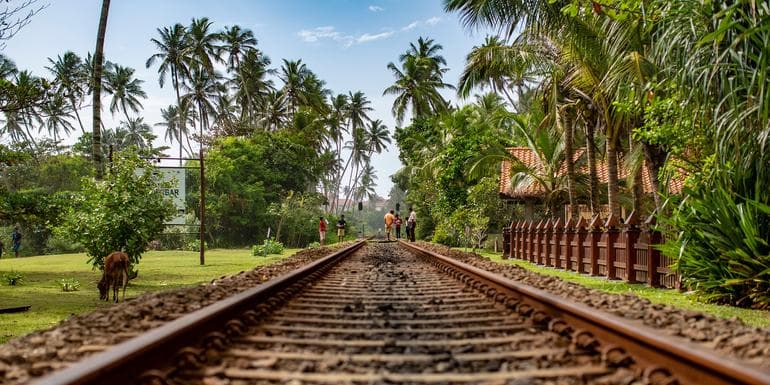 Bilde - Sri Lanka Land & Sea