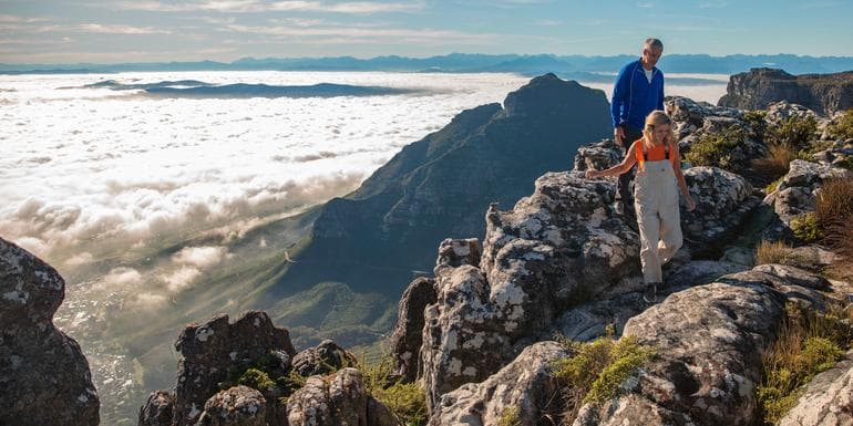 Imagem - South Africa: Kruger Wildlife Tracking & Vineyards